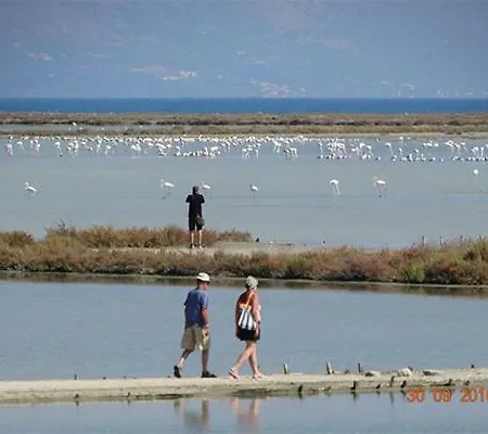 Marina Lefkimmi (Corfu)